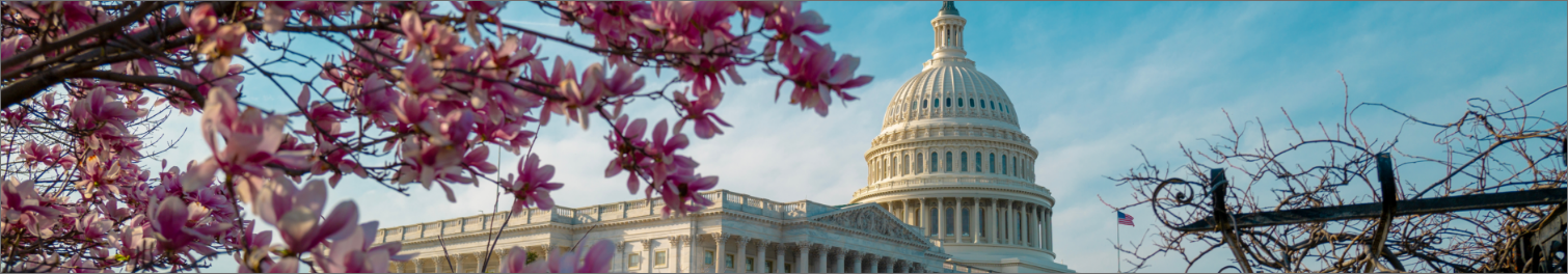 Image of the senate building and American flag